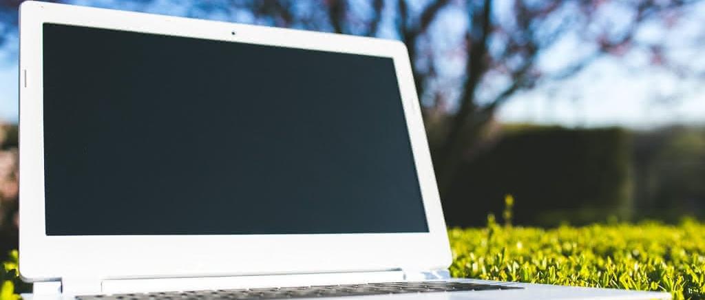 (c) CC0 Public Domain / Pixabay.com